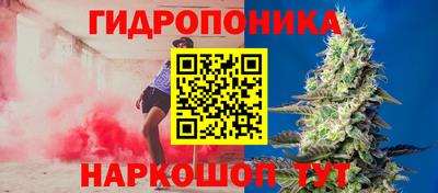 прущая мука Донецк